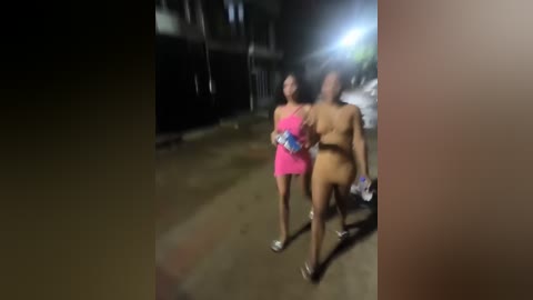 Media: A blurry video shows two women, one in a pink dress and the other nude, walking on a dimly lit, possibly urban, street at night.