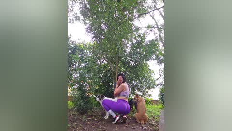 Media: A video of a woman with long dark hair in a purple sports bra and purple leggings, sitting outdoors on grass, with two small dogs, one black and white, the other brown, in a lush, green background.