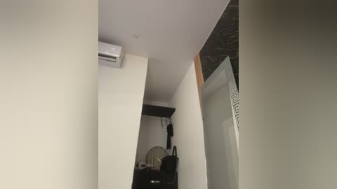 Media: Video of a narrow hallway in a modern apartment. The walls are white, and an air conditioner is mounted on the left wall. The right wall has a black textured panel. In the background, a black coat hangs on a rack, and a ceiling fan is visible.