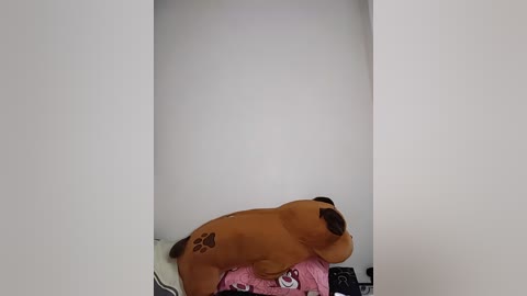 A video of a brown dog lying on a pink, paw-print-patterned cushion inside a white, rectangular alcove, with a white wall behind.