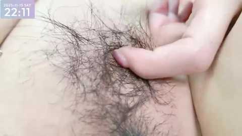A close-up video of a person's pubic region with a dense, dark pubic hair patch, partially spread by a hand with neatly trimmed nails. The skin is fair, and the background is blurred.