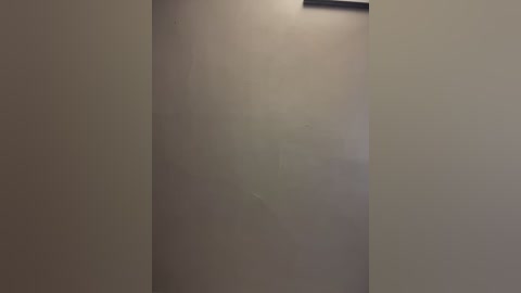 Video of a beige wall with a slight crease and a small, dark spot, likely a scuff mark or stain, in a dimly lit room.
