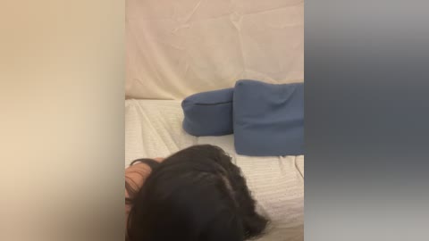 A video of a black dog lying on a white bedspread, with a blue pillow and a beige wall in the background. The image is cropped with a blurred border.