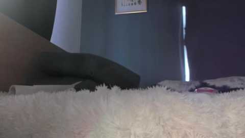A video of a dimly lit bedroom with a plush white shag rug covering the floor, a dark grey couch, and a framed picture on the wall.