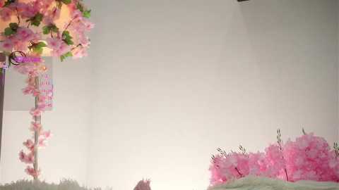 Video of a minimalist, bright room with soft pink cherry blossoms and green leaves on the left, white walls, and a few pink and white decorative objects in the lower right.