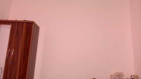 Video of a simple room with a light peach wall, featuring a wooden cabinet on the left, a white electrical outlet on the right, and a beige towel hanging on the wall.