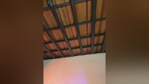 Video of a rustic ceiling with a grid of wooden planks and black metal beams, overlaid with a soft, diffused pinkish light, giving a warm, inviting ambiance.