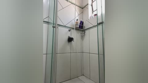 Video of a modern shower stall with light gray tiled walls, featuring a black showerhead, a glass shelf holding bottles, and a frosted glass door.