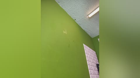 Video of a bright green-painted room with textured ceiling, showing a small patch of peeling paint, a white fluorescent light, and a partially visible, patterned door on the right.