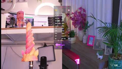 Video of a modern, well-lit room with a vibrant, pink, and orange flower on a white table; white walls, a plant, and a red bench.