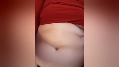 Video of a light-skinned person with a small belly, wearing a red top pulled up to reveal their navel. The image is tightly cropped and focuses on the midsection, with blurred edges.