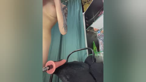 Video of a tattooed person's bare shoulder, partially covered by a teal curtain, using a red-handled hair dryer on a black dog. Background shows a cluttered room with shelves and clothing.