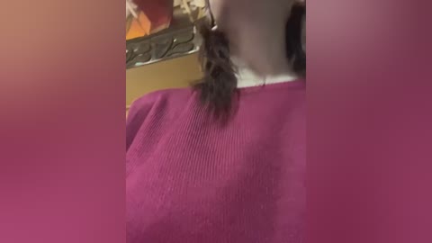 A video showing the lower face and upper torso of a person wearing a maroon sweater with a white collar, blurred background with a computer keyboard.