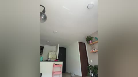 Video of a minimalist kitchen with white walls, a black fridge, and a pink stool. A hanging light fixture and a potted plant are visible in the background.