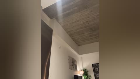 Video of a modern, warmly lit interior with a wooden ceiling and white walls. A large, dark wooden door is partially visible on the left. A framed photo and a potted plant are on the right, near a wall-mounted lamp.