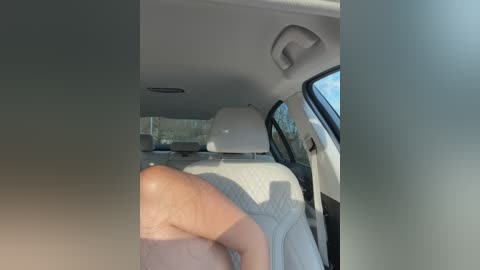 Video of a person driving a car, showing the driver's arm and hand on the steering wheel, with a beige interior, sunlit window, and green foliage visible outside.