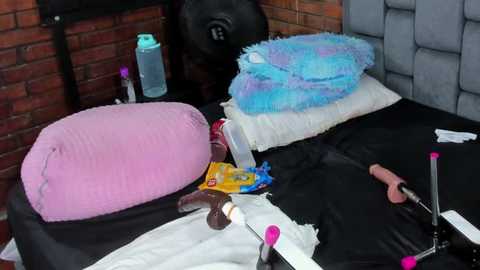 Video of a messy bedroom with a pink and blue stuffed animal, a dildo, and various sex toys on a black bed.