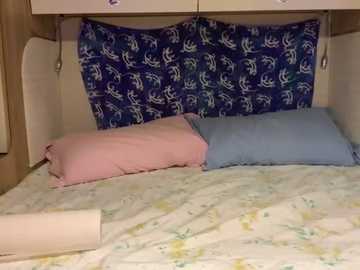 A video of a small, neatly made bed with two pillows: one pink, one blue. The bedspread features a floral pattern. The headboard is covered in a dark blue fabric with a white tree design.