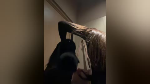 Video of a woman with long, straight brown hair, holding a black hairbrush while sitting in a dimly lit room with beige walls.