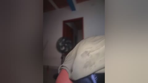 Video of a person's back, wearing a beige shirt, standing in a dimly lit, sparsely furnished room with white walls, a red door, and a black fan.
