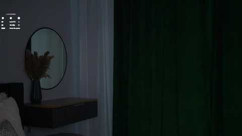 Video of a dimly lit bedroom with a dark green curtain, a wooden dresser, a round mirror, and a vase of dried flowers on a nightstand.