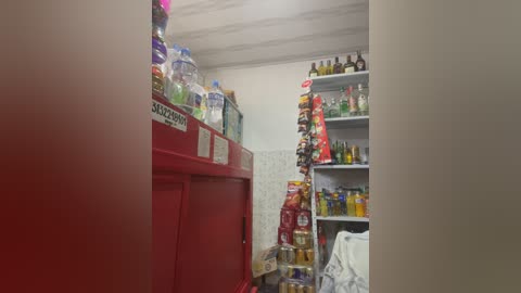 Video of a small, cluttered storage room with a red refrigerator on the left, a shelf with various food items and a hanging bag on the right, and a white ceiling.