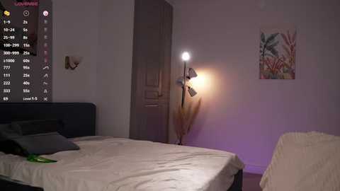 A video of a dimly lit bedroom with a bed, a tall floor lamp, and a wall-mounted clock displaying time and weather.