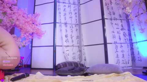 Video of a serene room with cherry blossom branches, a black cat on a cushion, a tatami mat, and a shoji screen with Japanese calligraphy.