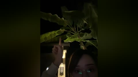 A dimly lit video shows a person with glasses, holding a plant with broad leaves. The background is dark, with a faint hint of a room's outline. The image has a moody, atmospheric feel.