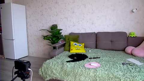 Video of a modern living room featuring a plush green shag rug, a beige couch, a yellow SpongeBob pillow, a pink stuffed animal, a black cat, a white refrigerator, and a white wall with subtle floral patterns.