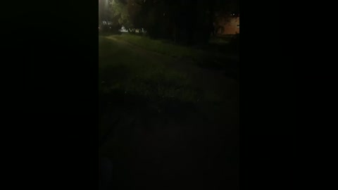 A dimly lit, nighttime video of a narrow, grassy path leading to a dark, indistinct structure in the background. The scene is shrouded in shadows, creating an eerie, mysterious atmosphere.