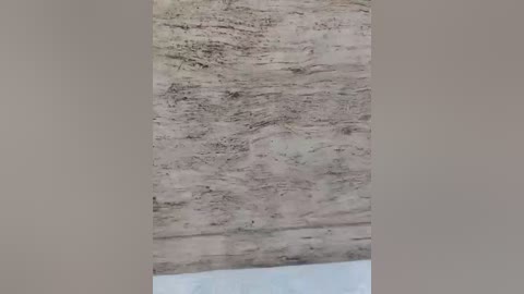 Video of a textured wall with horizontal, light gray striations resembling marble or stone, partially obscured by a lower section of blue-gray, smooth, possibly painted surface.