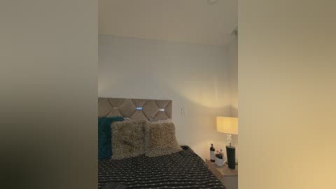 Video of a modern bedroom with a tufted headboard, beige walls, and a striped black and white bedspread. A lamp with a white shade and a dark-colored nightstand with a black bottle and a small glass are visible in the background.