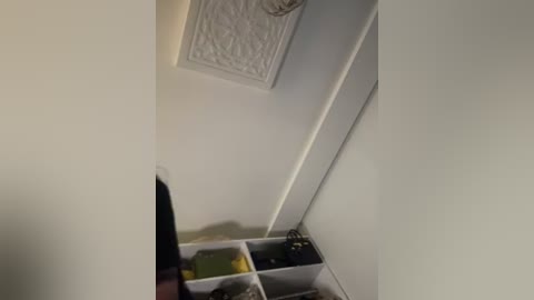 Video of a ceiling with a textured, white, circular light fixture and a white wall. Below, a black hand holds a black object, with a white shelf displaying various items including a green bag and a black bag.