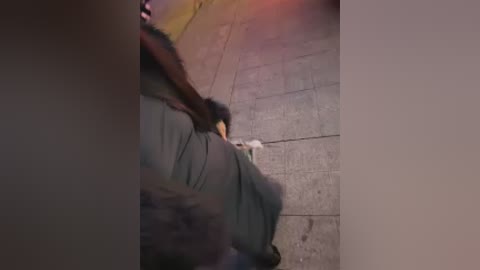 Video of a person in dark clothes, possibly a woman, walking on a cobblestone street. The image is slightly blurred, with a white pigeon on the ground.