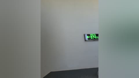 Video of a minimalist hallway with a beige wall, a green EXIT sign above a door, and frosted glass on the right.