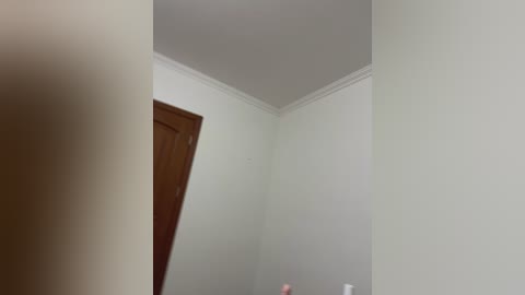 Video of a minimalist, sparsely furnished room with white walls and a brown wooden door. The ceiling has a simple white crown molding. The image is slightly blurry, emphasizing the clean, uncluttered aesthetic.