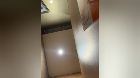 Video of a dimly lit, narrow hallway with beige walls, a small recessed ceiling light, and a partially visible painting on the right. The image has a soft, muted color palette.