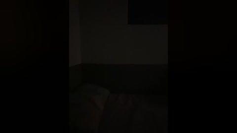 Video of a dimly lit room with a shadowy figure leaning against a wall, suggesting a lurking presence. The background is mostly dark, with limited visibility, creating an eerie, suspenseful atmosphere.