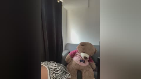 A video shows a large, light brown teddy bear wearing a pink shirt with a black logo, seated on a couch in a dimly lit room with black curtains drawn to the side.