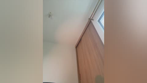 A video showing a ceiling with a metallic fixture, a wooden door, and a window with light streaming in, creating a bright, simple indoor scene.