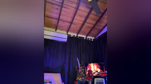 Video of a cozy indoor space with wooden ceiling beams, dark curtains, a lit fireplace, and a festive Christmas tree.