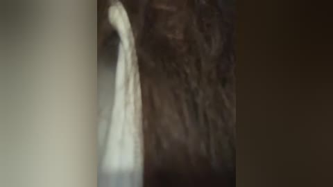 Video of a waterfall cascading down a dark, rugged cliffside, with a blurred background suggesting a forest or mountainous terrain. The water appears white and frothy, indicating a high flow rate.