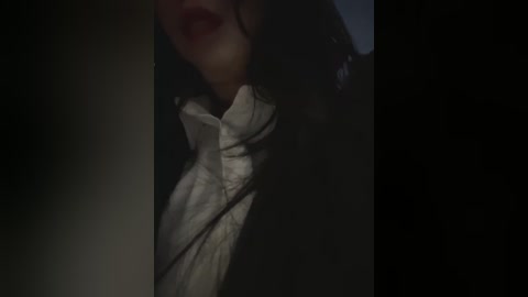 Video of a close-up, dimly-lit profile of a woman with long dark hair, wearing a white high-collared shirt, partially obscured by shadows. The image is moody and evokes a sense of mystery.