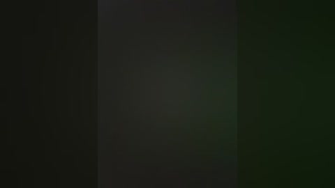 This image is a digital artwork with a dark, monochromatic palette. The composition features a gradient from left to right, transitioning from black to deep green, with a subtle shimmering effect. The background is smooth, devoid of any discernible objects or textures, creating a minimalist and abstract aesthetic.