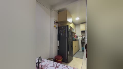 Video of a small, cluttered kitchen with a tall, black refrigerator, a makeshift countertop with a red chair, and a narrow space for a sink and stove.