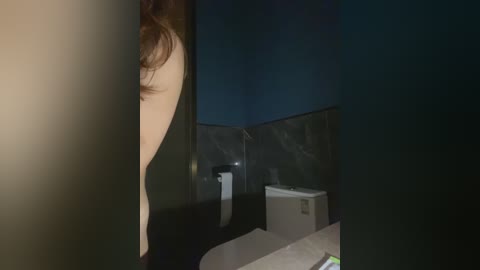 Video of a nude woman with long, wavy brown hair, standing in a dimly-lit bathroom with a dark blue and grey tiled wall, a white toilet, and a grey countertop.