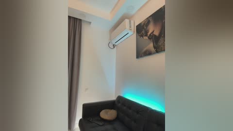 Media: Video of a modern, minimalist room with a dark gray sofa, beige cushion, air conditioner, and a large framed nature scene on the wall.