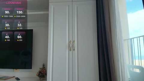 Video of a modern, minimalist living room with a large white closet, flat-screen TV displaying weather forecast, and a window with sheer curtains.