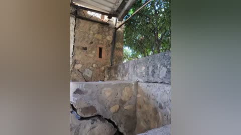Video of an ancient stone building with a weathered, uneven facade and a small, rectangular window. The structure is partially covered by a metal roof and surrounded by lush green foliage.